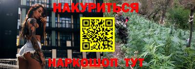 гашик Кингисепп
