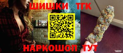 гашик Кингисепп