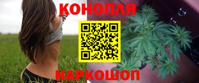 шишки Кинель