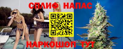шишки Кинель