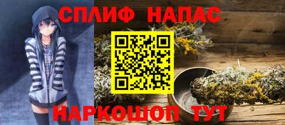 гашик Кингисепп