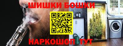 гашик Кингисепп