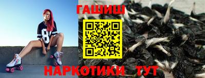 гашик Кингисепп