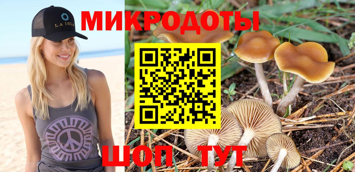 Псилоцибиновые грибы мицелий Менделеевск