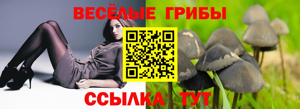 цены наркотик  Галлюциногенные грибы мухоморы  Вход с VPN  Менделеевск 